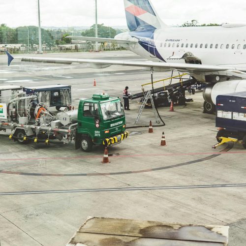 pexels-rrodriguesim-36622441