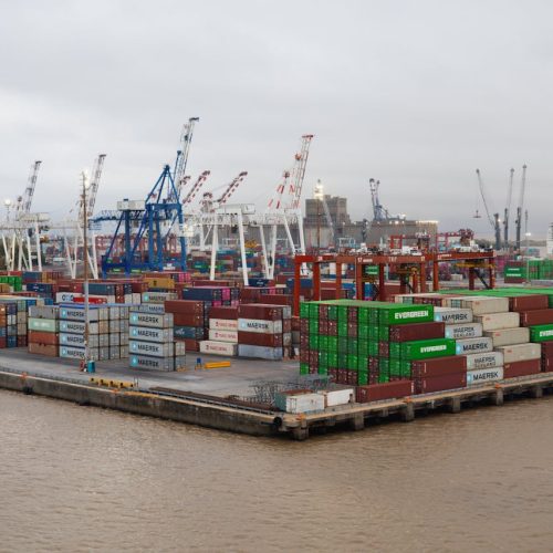 pexels-rrodriguesim-36652827